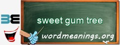 WordMeaning blackboard for sweet gum tree